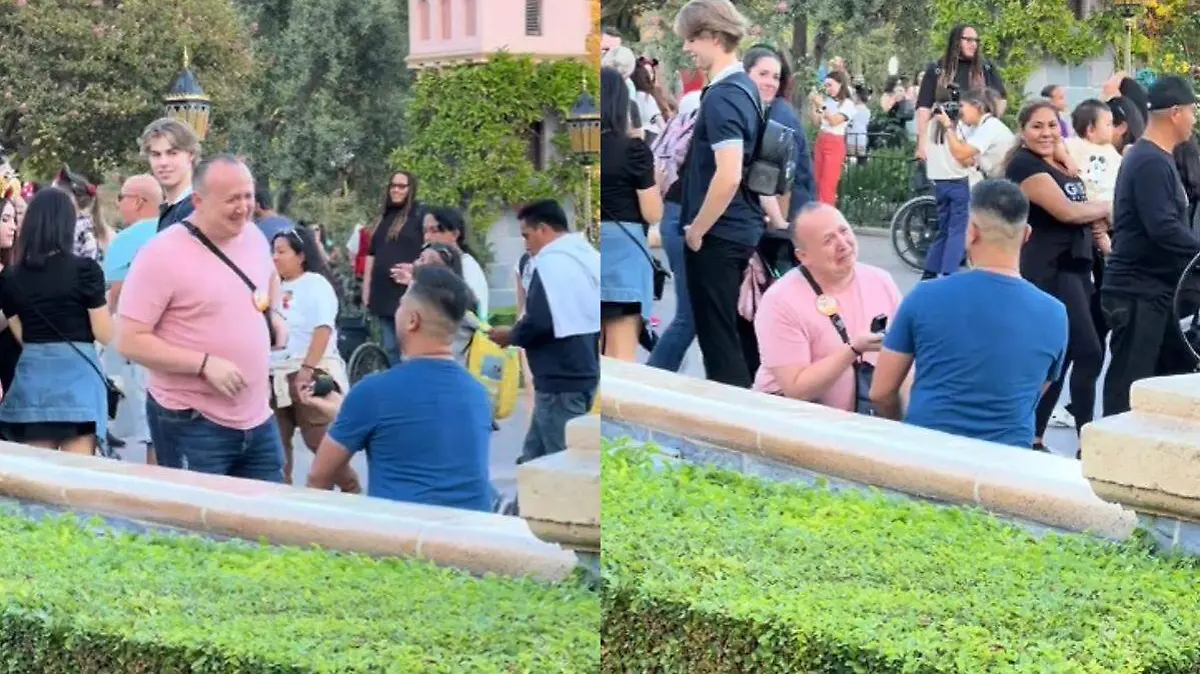 Disneyland pareja pide matrimonio