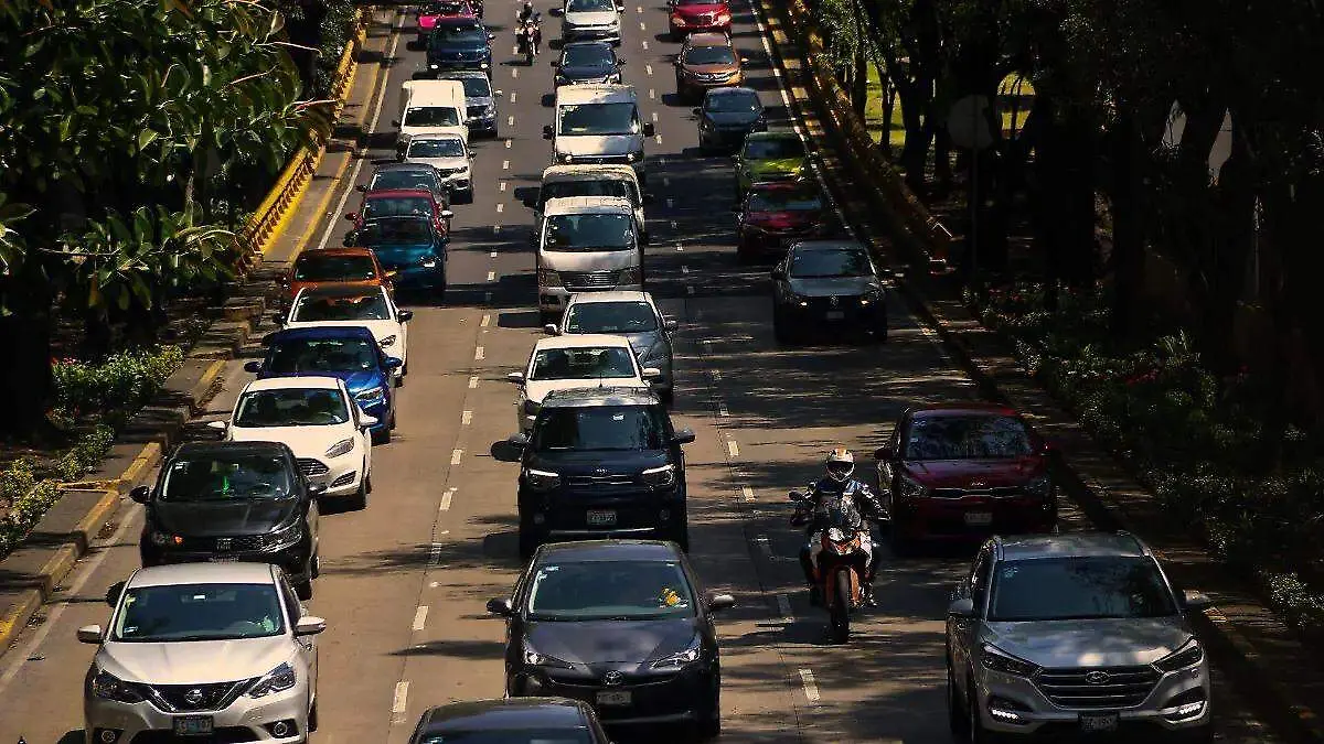 ¡Cuidado con las páginas pirata! Así te puedes proteger al pagar tu tenencia