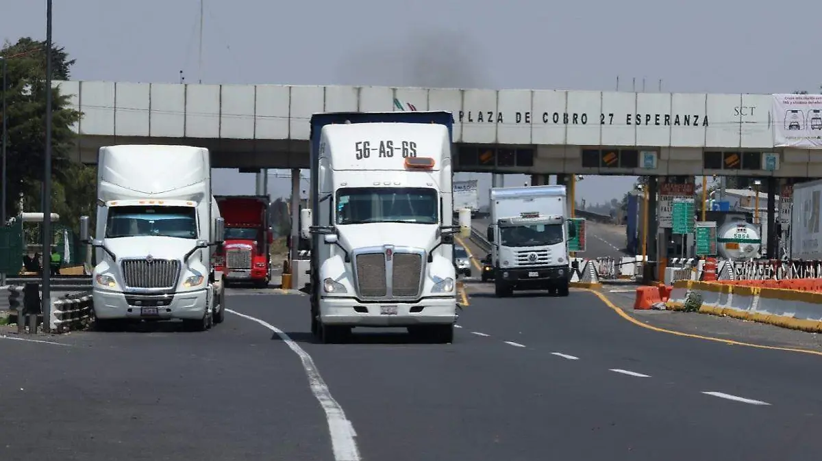 WhatsApp Image 2025-06-09 at 8.17.44 PM