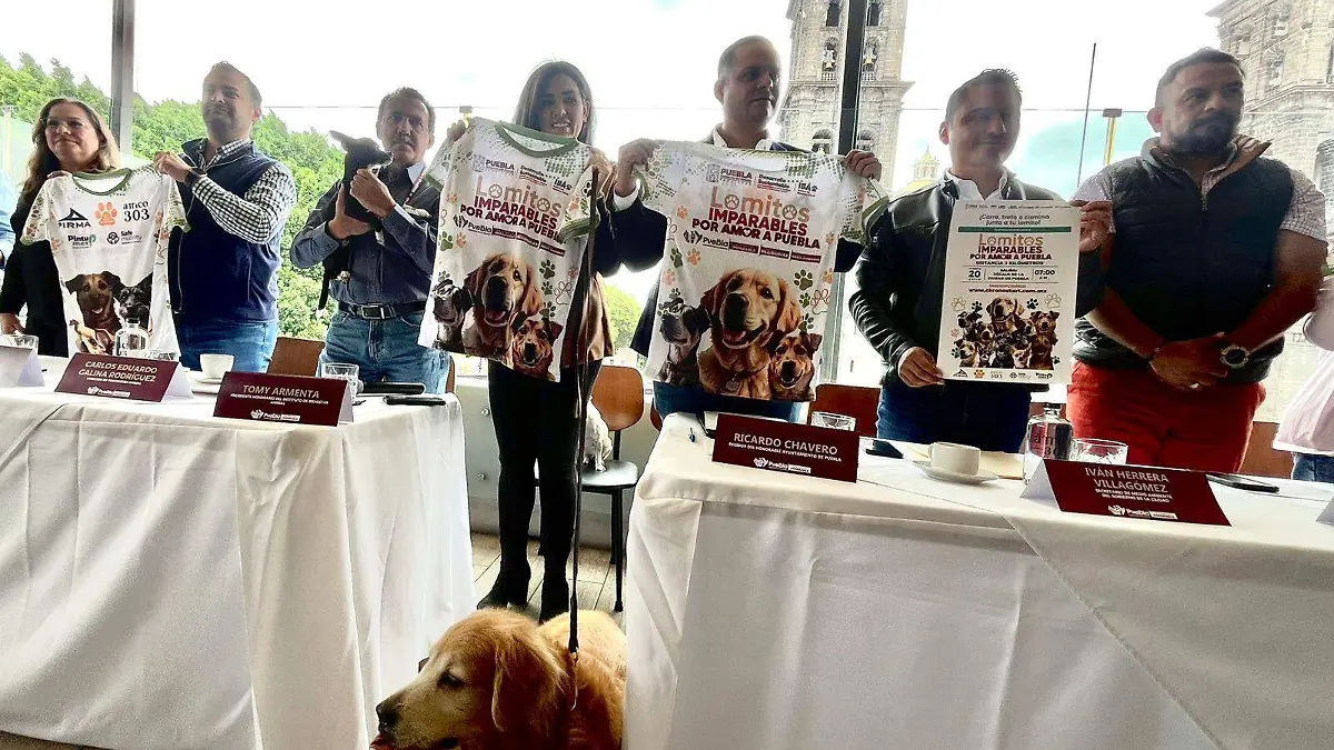 Lomitos Imparables