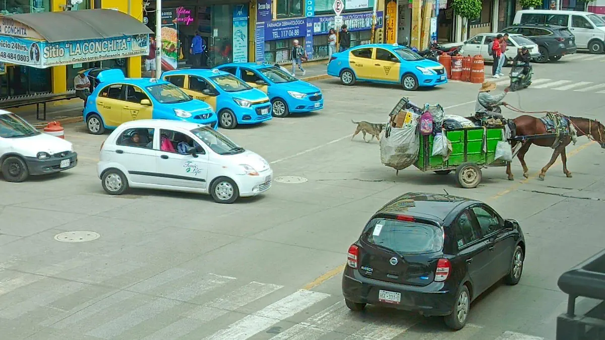 caballos carretoneros texmelucan 