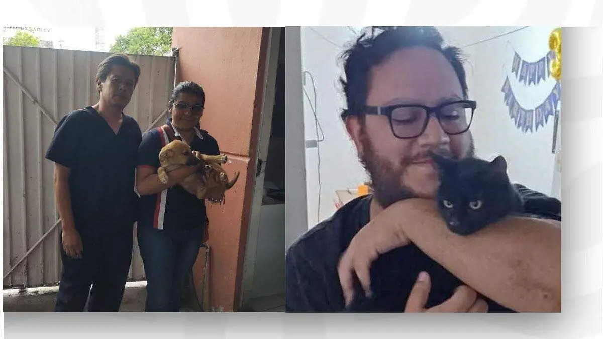 adpción segura en Tehuacán 