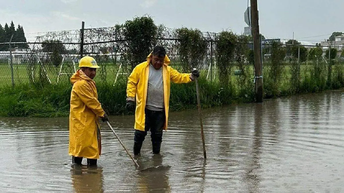 WhatsApp Image 2025-06-25 at 4.05.29 PM