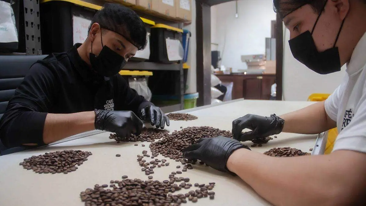 granos de café de la marca Café Sierra Negra