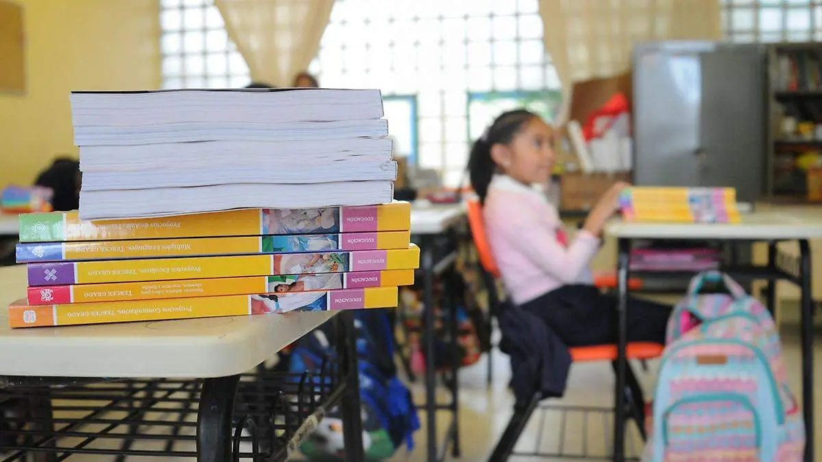 Los sectores de servicios educativos, comercio al por mayor y comercio al por menor reportaron una disminución en sus ingresos