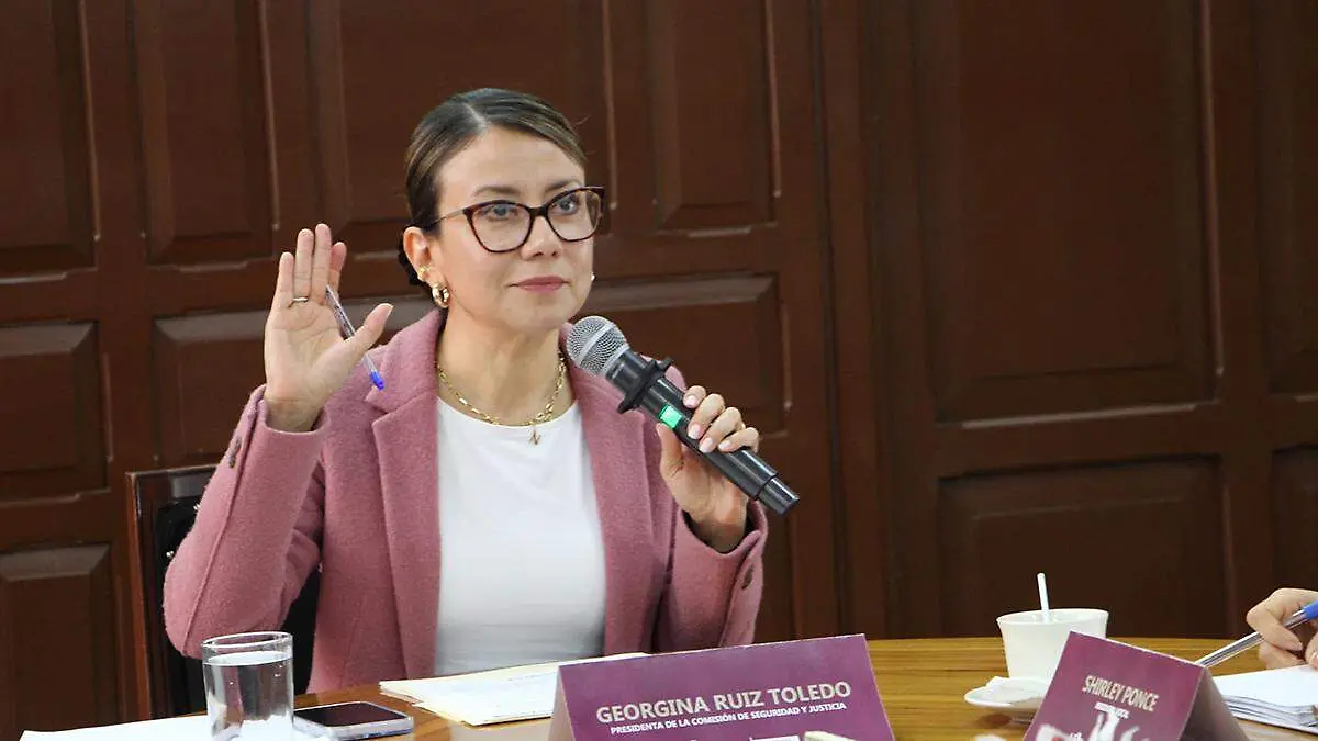 La Comisión de Seguridad y Justicia de la capital aprobó por mayoría de votos la creación de un padrón de vigilantes comunitarios