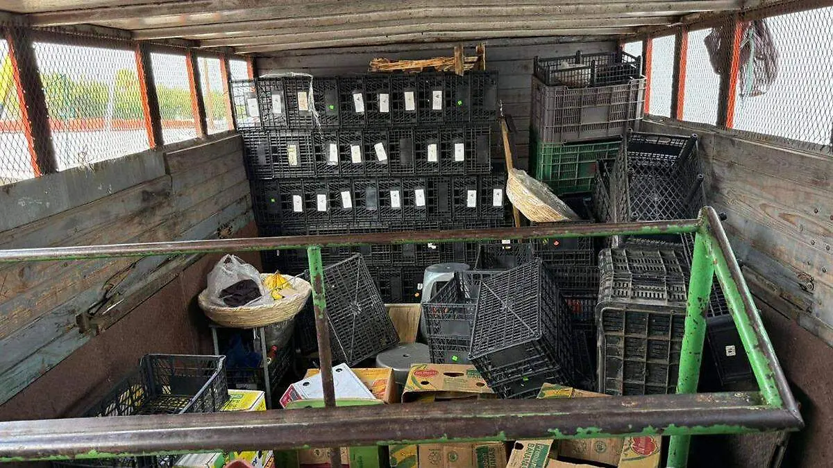 El INPI pidió retirar un camión de la primera sección de la Central de Abasto que afectaba las ventas de mujeres originarias de La Resurrección