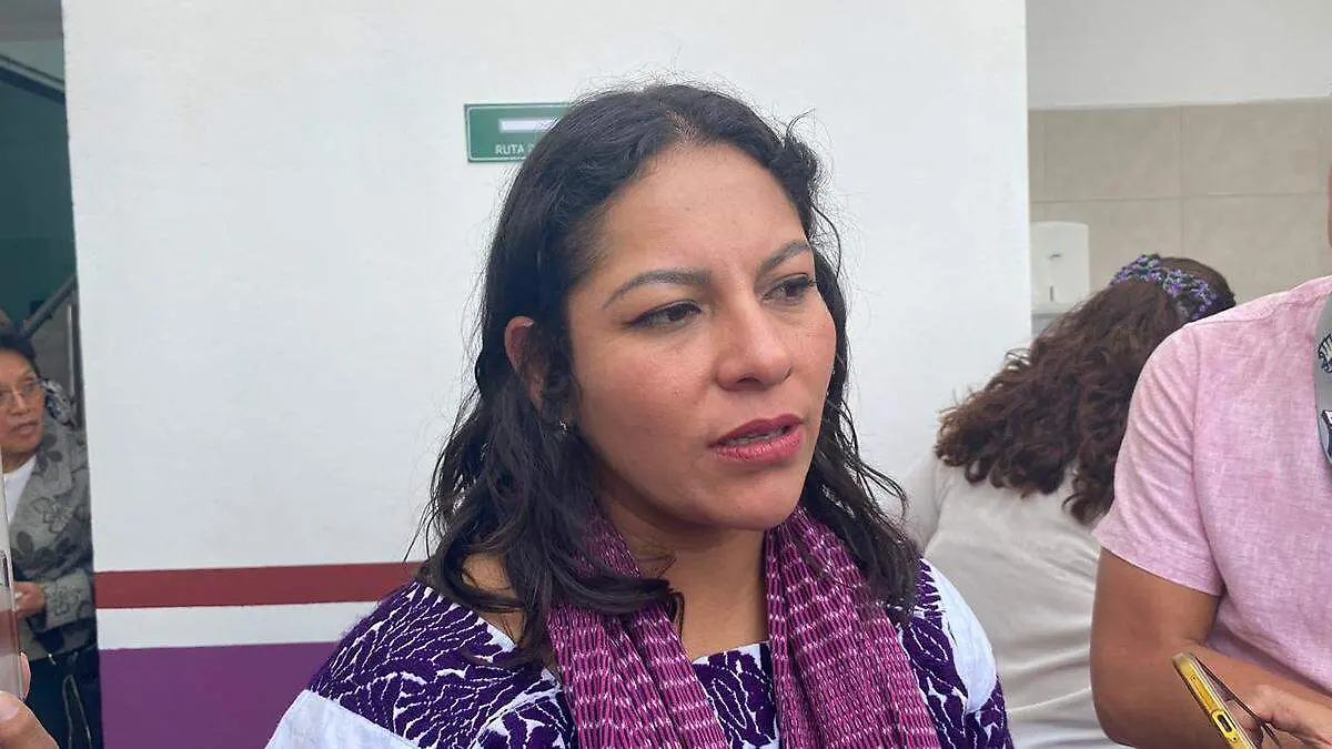 Guadalupe Cuautle informó que no hay avances en la propuesta de definir si habrá o no la instalación de parquímetros