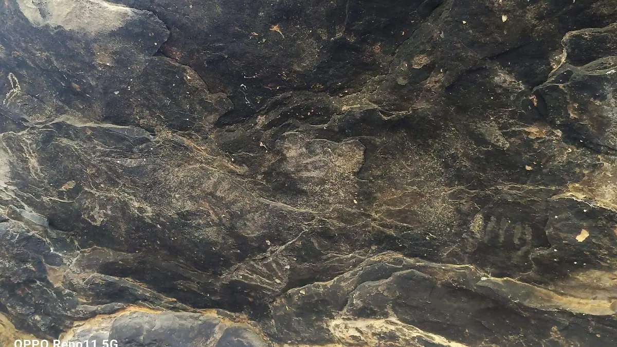 descubren pinturas rupestres en tehuacán
