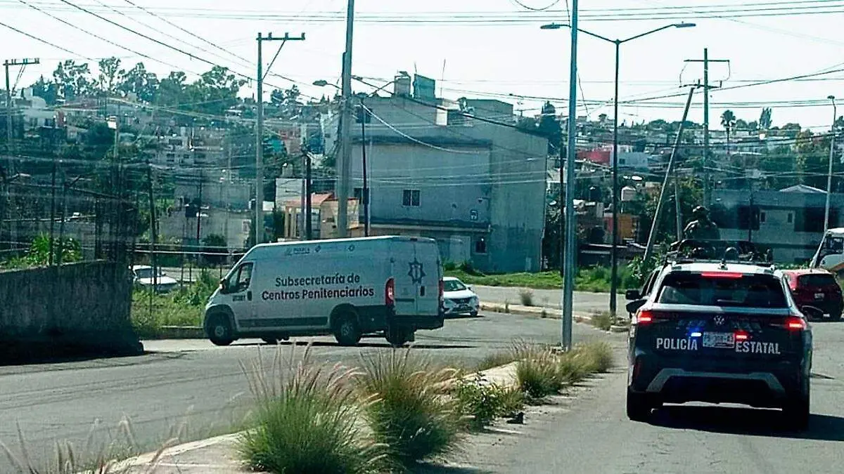 WhatsApp Image 2025-07-06 at 5.37.07 PM (2)