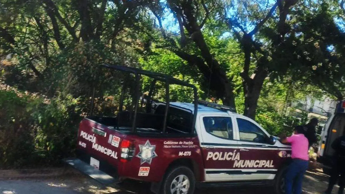 policìa de Teopantlán 