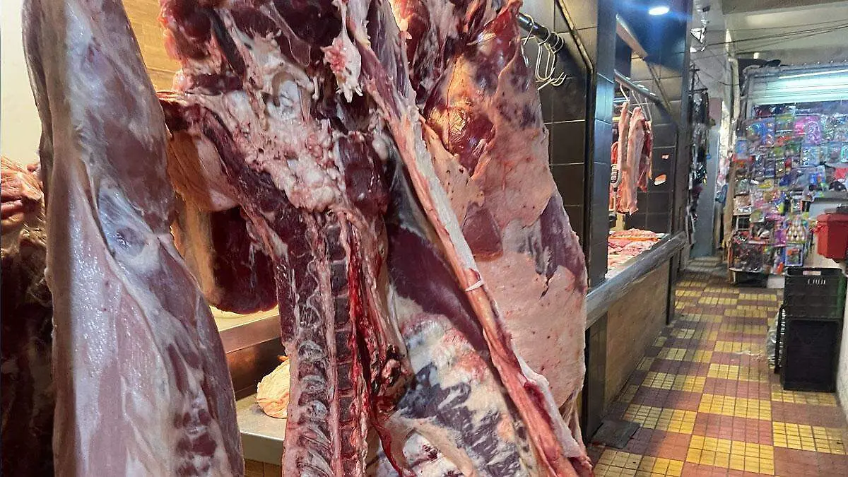 carne de res 
