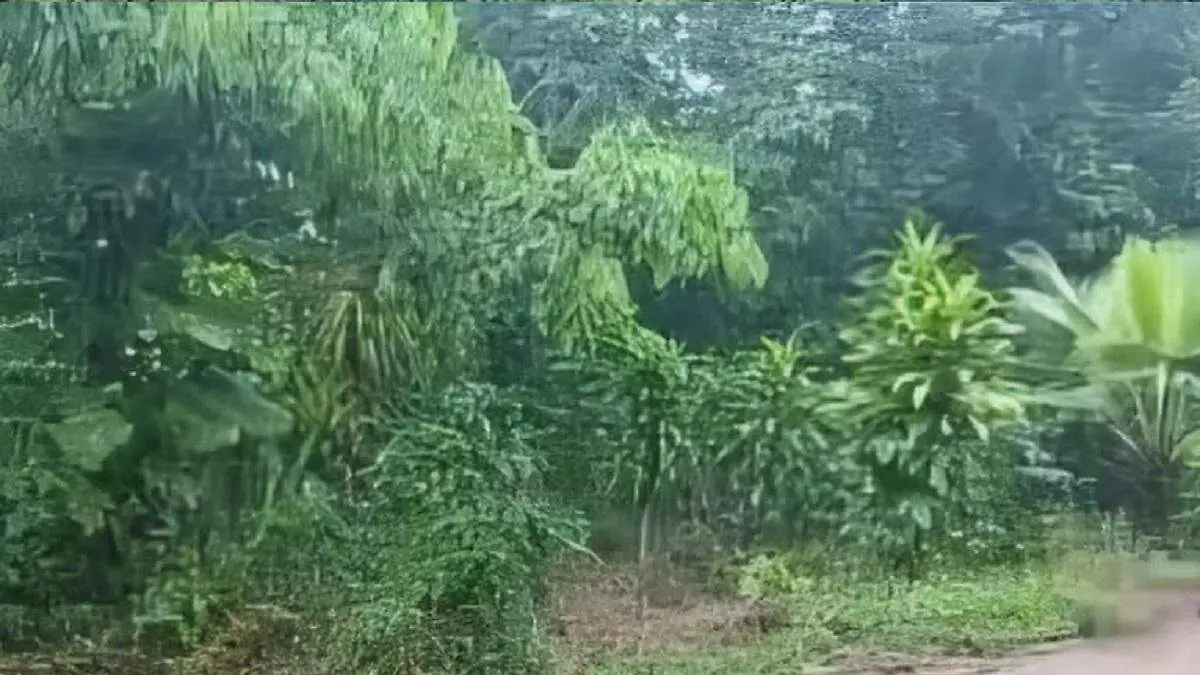 WhatsApp Image 2025-07-10 at 3.57.14 PM