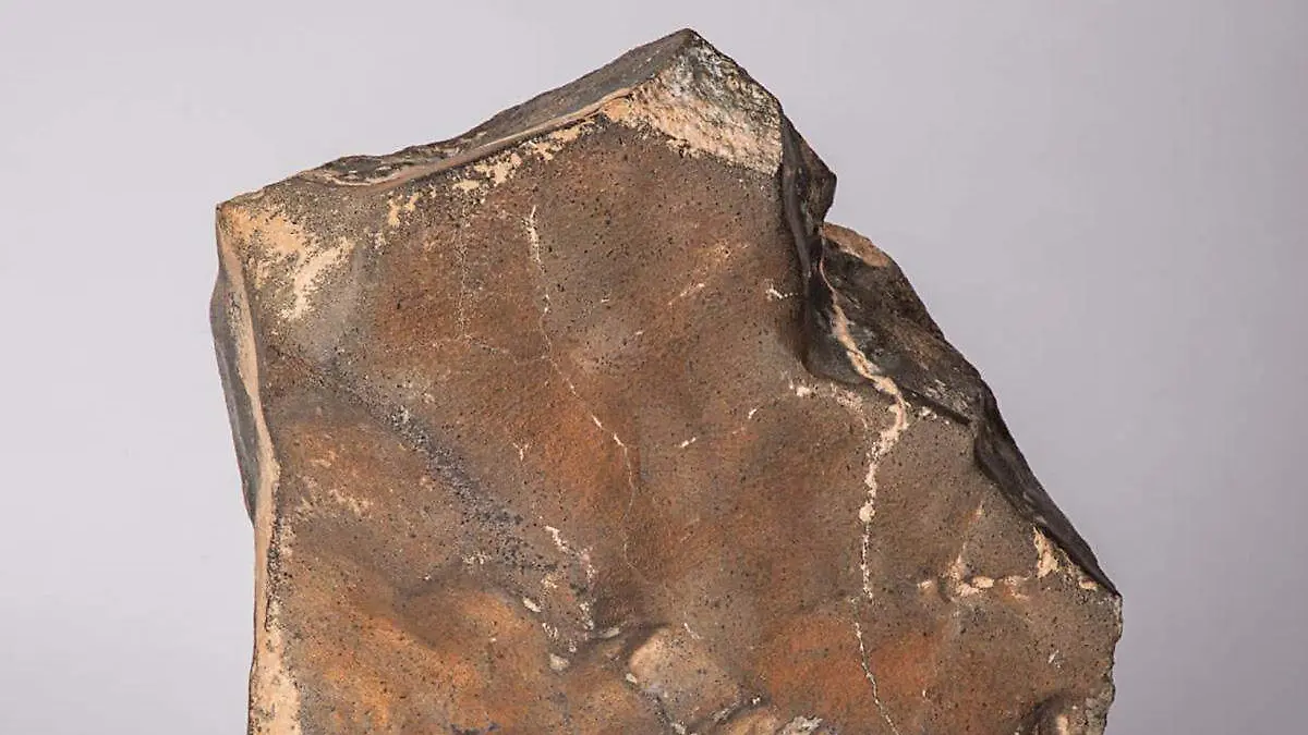 Meteorito de Marte
