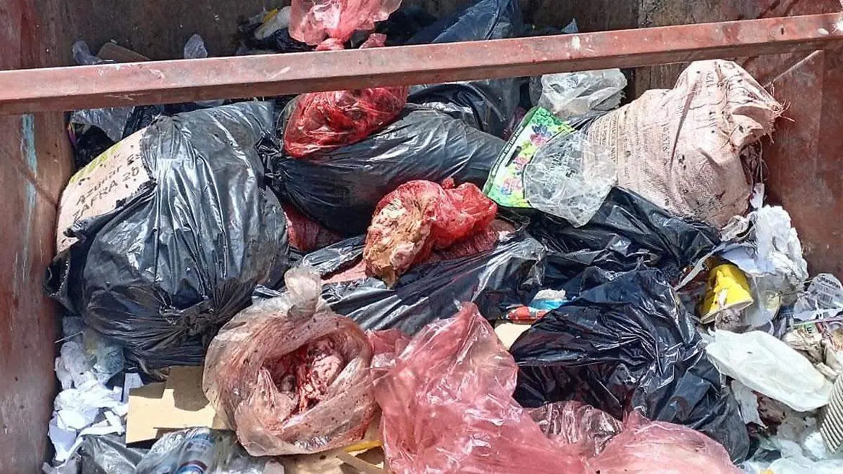 desechos cárnicos 