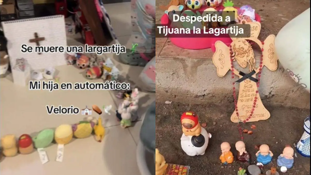 Tijuana, era el nombre de la Lagartija que recibió varios eventos funerarios