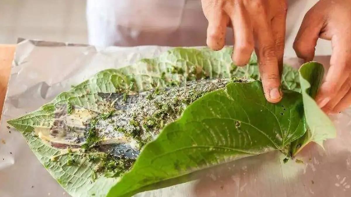 La hoja santa y la sustancia que podría dañar la salud