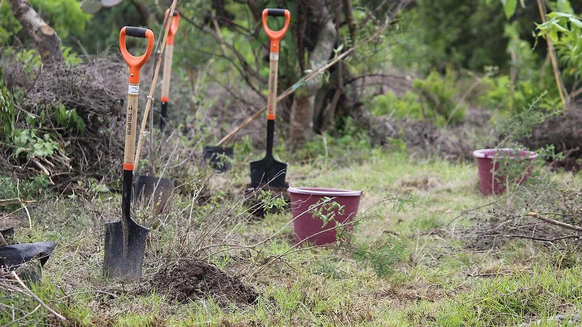 FLOR DEL BOSQUE-LIBERACION ANIMALES-CERTIFICACION BIBIANAD 18062021008