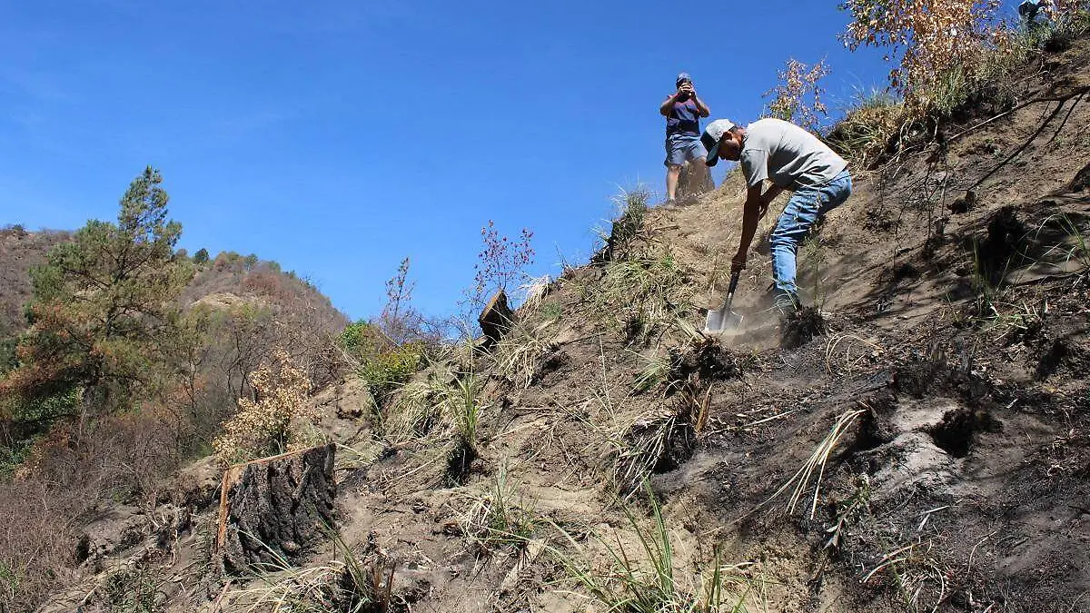 REFORESTACION SANTA MARIA ATEXCAC JULIOCM 17062024 056