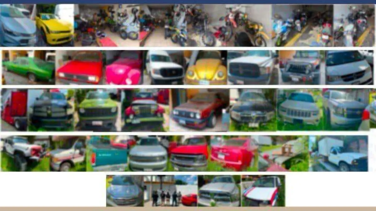 WhatsApp Image 2025-07-27 at 12.30.41