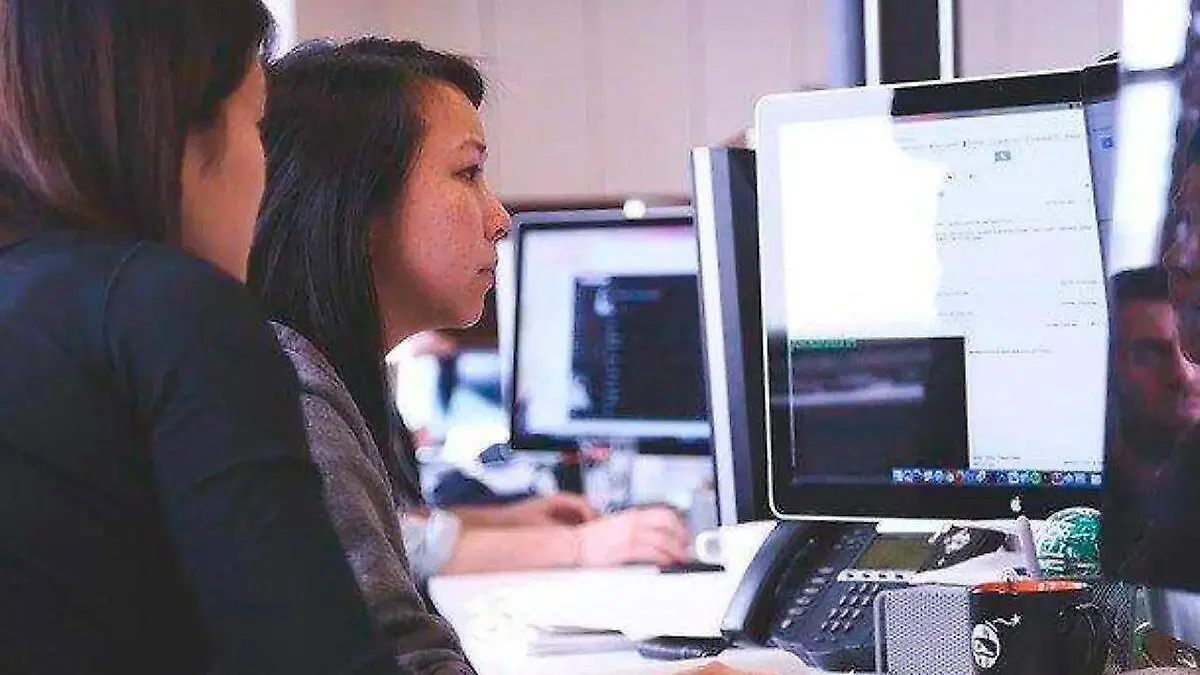 personas revisan un sitio web