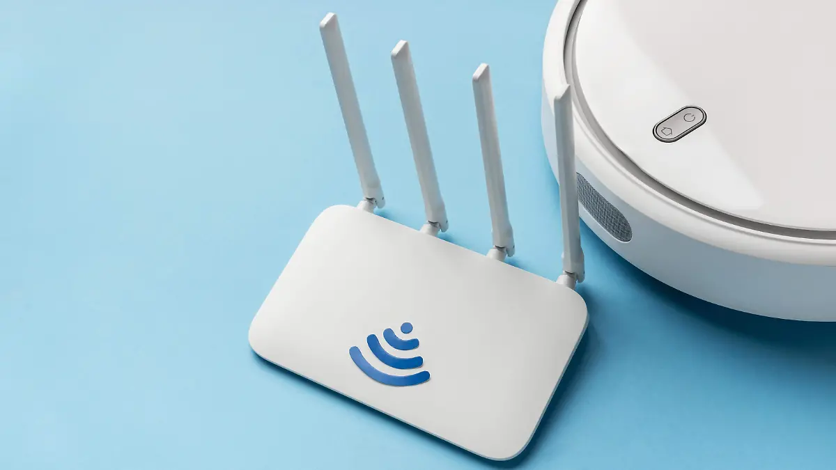 Confirman impacto negativo del WiFi en animales