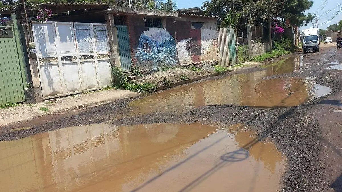 WhatsApp Image 2025-08-12 at 2.36.33 PM