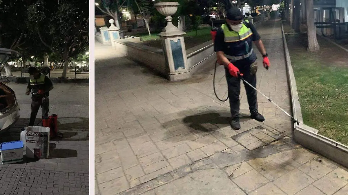 fumigación ratas