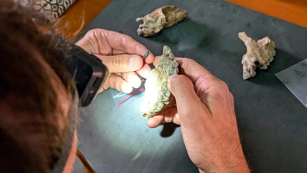 fosiles encontrados que serian similares a los primeros humanos en la Tierra