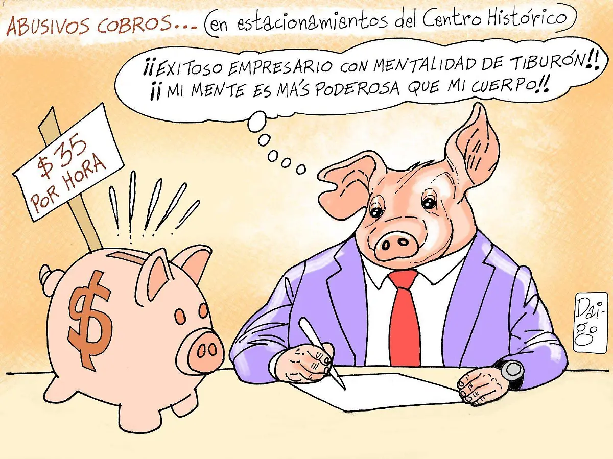 WhatsApp Image 2025-08-18 at 17.37.26