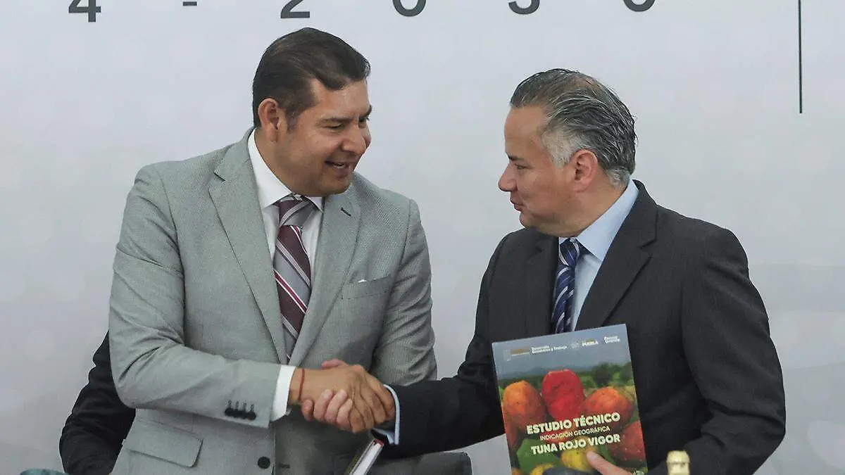 Santiago Nieto Castillo, titular del Instituto Mexicano de Propiedad Industrial (IMPI)