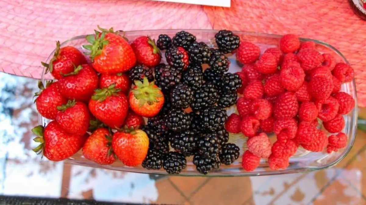 Huejotzingo te espera con el sabor más dulce del año