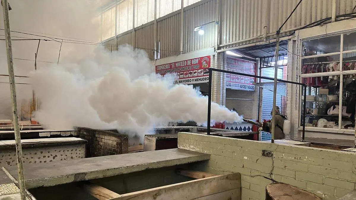 Ayuntamiento de Tehuacán realiza fumigaciones para evitar propagación del dengue 