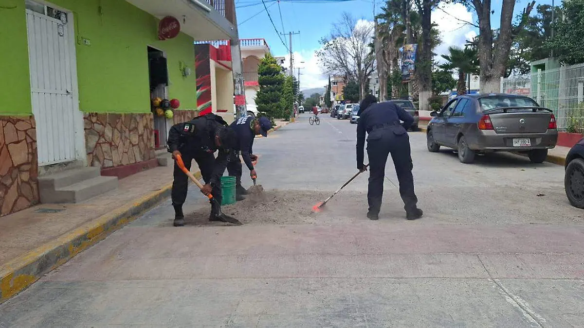 De manera anónima los elementos mencionaron que ellos no tuvieron nada que ver con estas acciones de las fuerzas federales