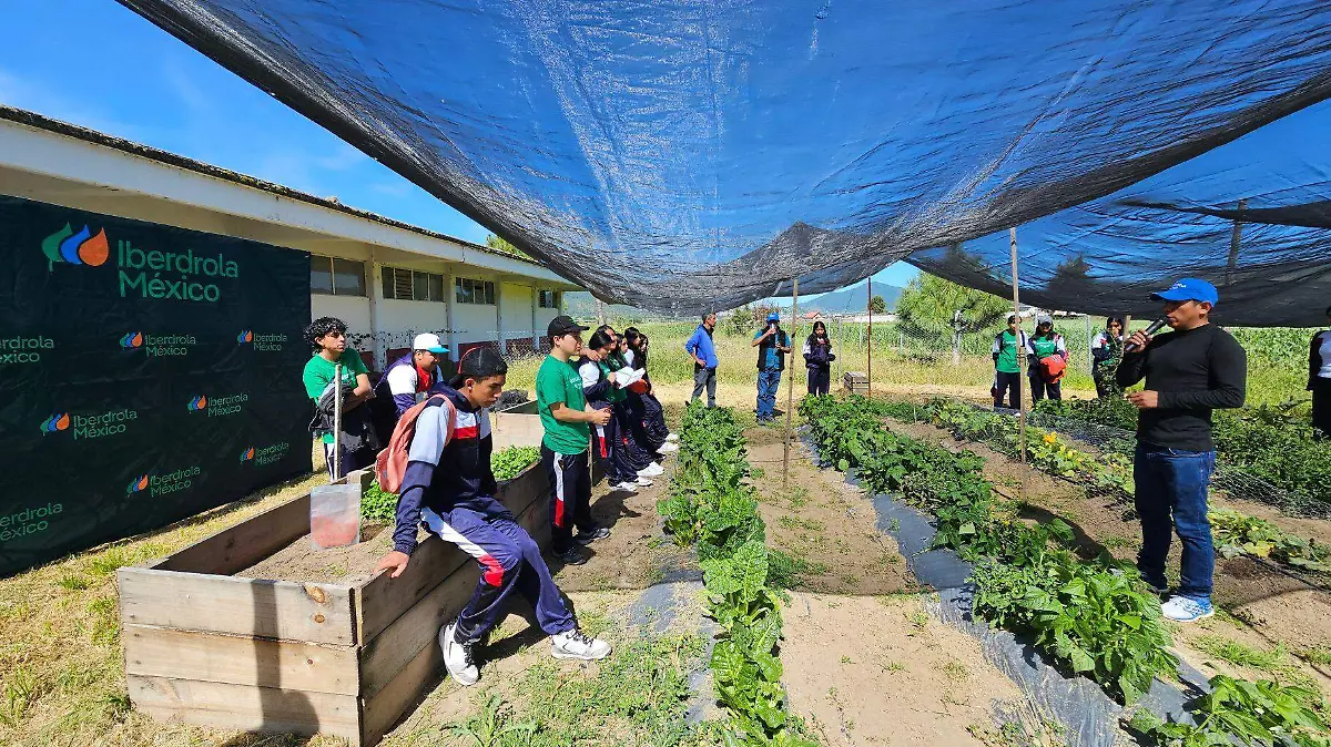 1 OEM  Iberdrola mexico huertos comunitarios
