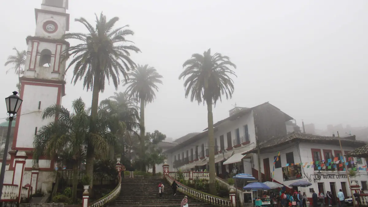 CUETZALAN DEL PROGRESO BIBIANAD 22012024 (11)