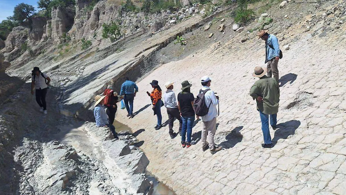 Tehuacán en el centro de la paleontología. Posible hallazgo de huellas de dinosaurios en Santa Ana Teloxtoc