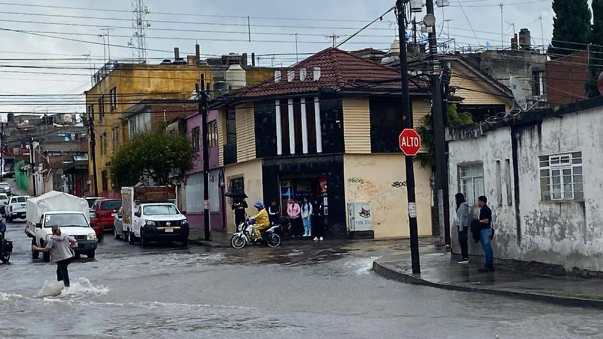 Proyecto nuevo
