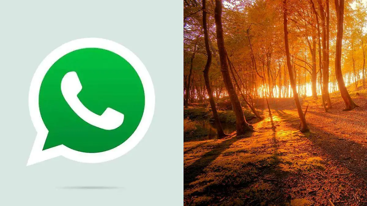 Personaliza tu app con todo el encanto del otoño