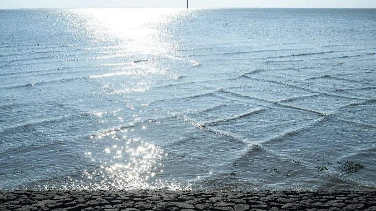 Cuando el mar se convierte en un tablero de ajedrez... huye.