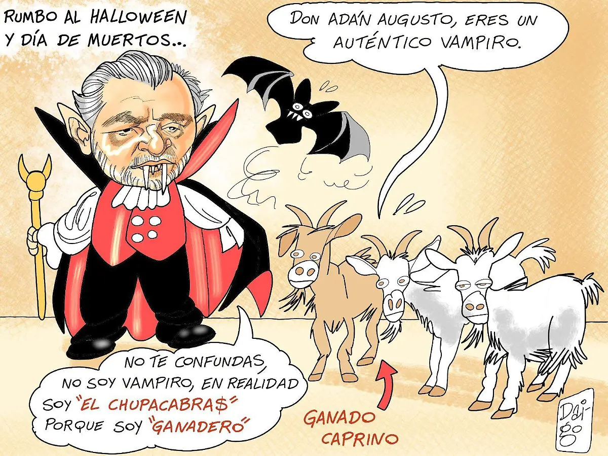 WhatsApp Image 2025-10-06 at 3.12.53 PM