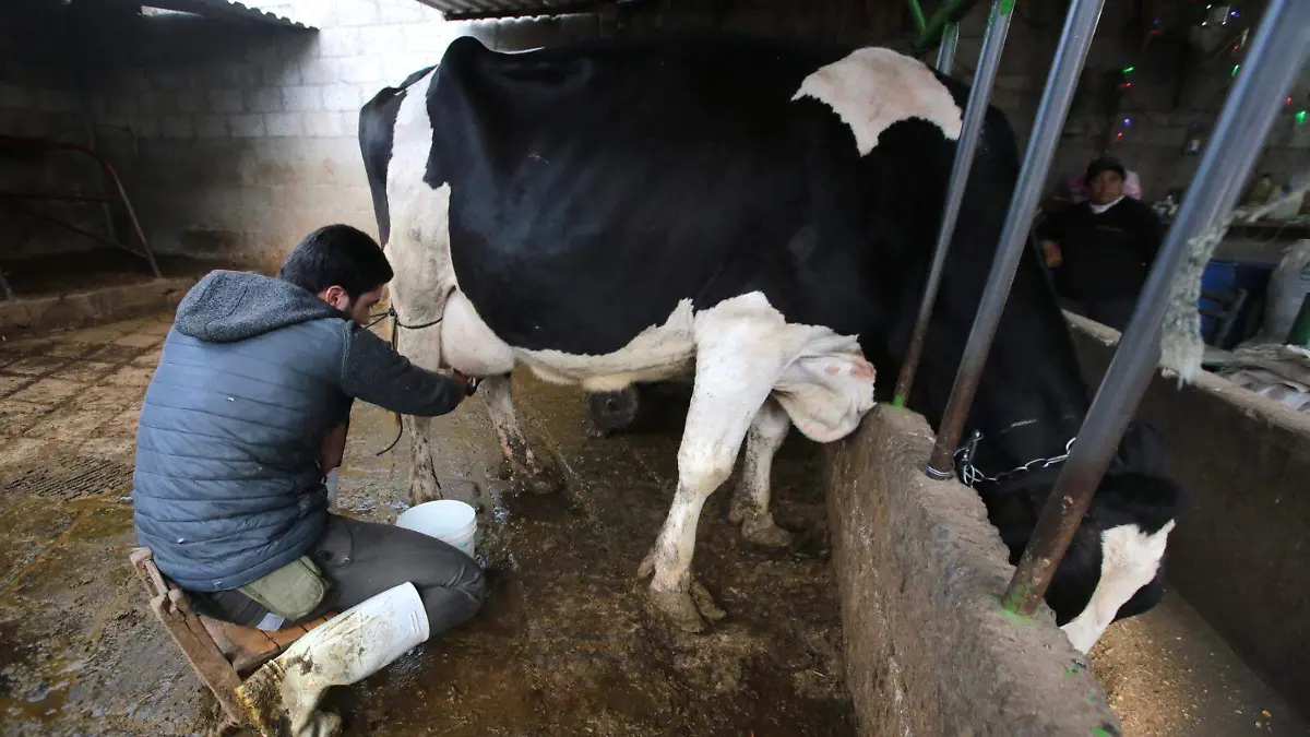 WhatsApp Image 2025-10-06 at 20.24.59