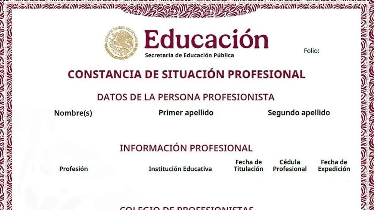 constancia de situacion profesional