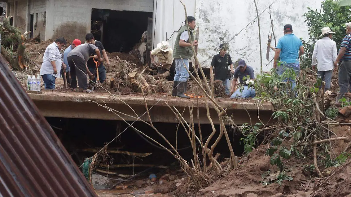 WhatsApp Image 2025-10-13 at 17.39.29