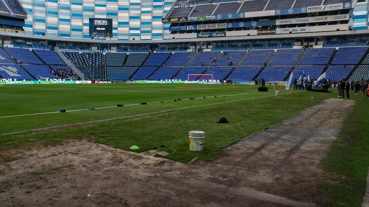 pasto en Estadio Cuauhtémoc