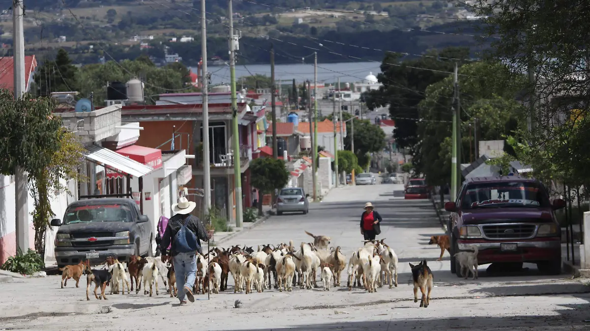 El Pochote: la comunidad olvidada en las montañas de Tecola