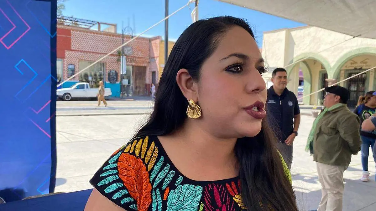 Fernández Díaz comentó que esta solicitud solamente ha sido de palabra