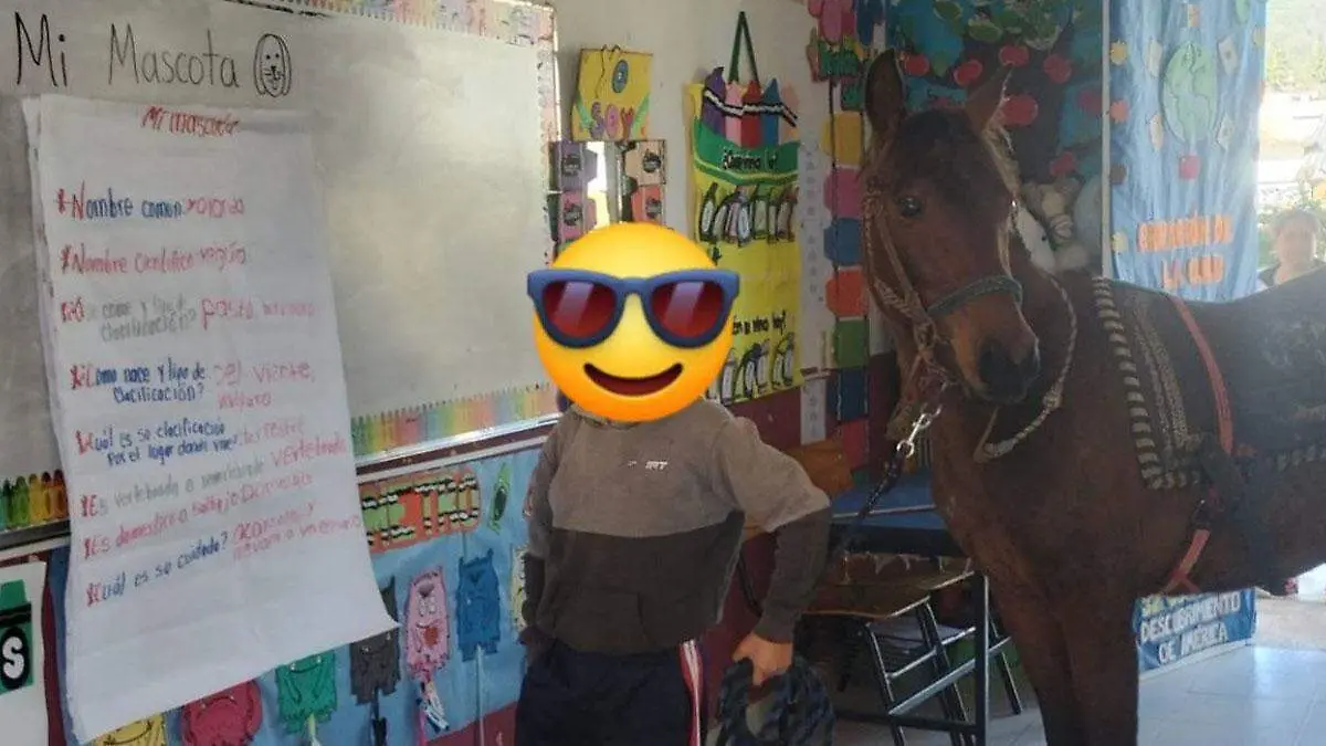 La maestra de Zacatlán lo invitó a ser guardianes del bienestar animal