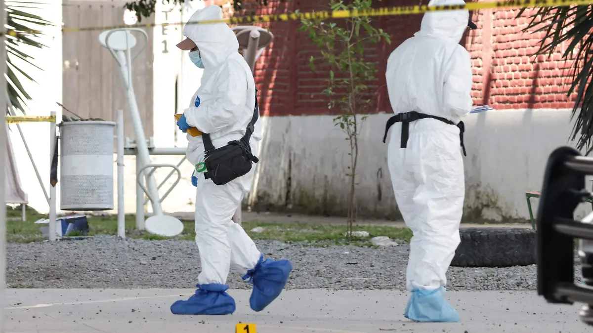 WhatsApp Image 2025-10-30 at 14.23.49 (1)