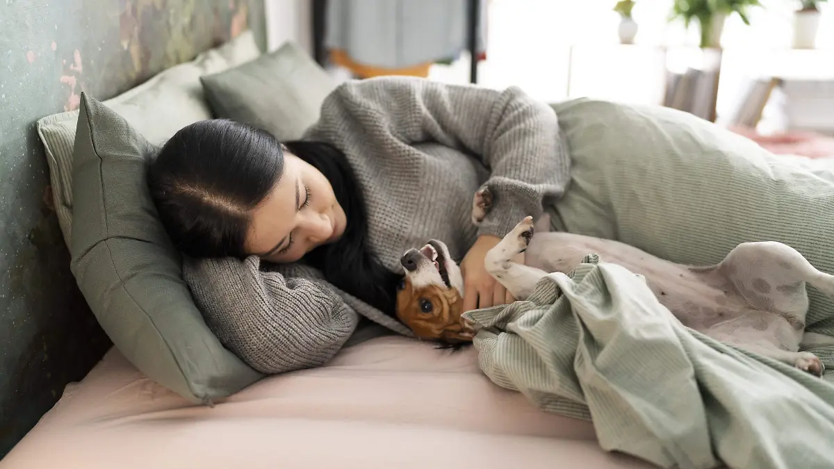 Estas son las razones por las que tu perro o gato podría estar interrumpiendo tu descanso